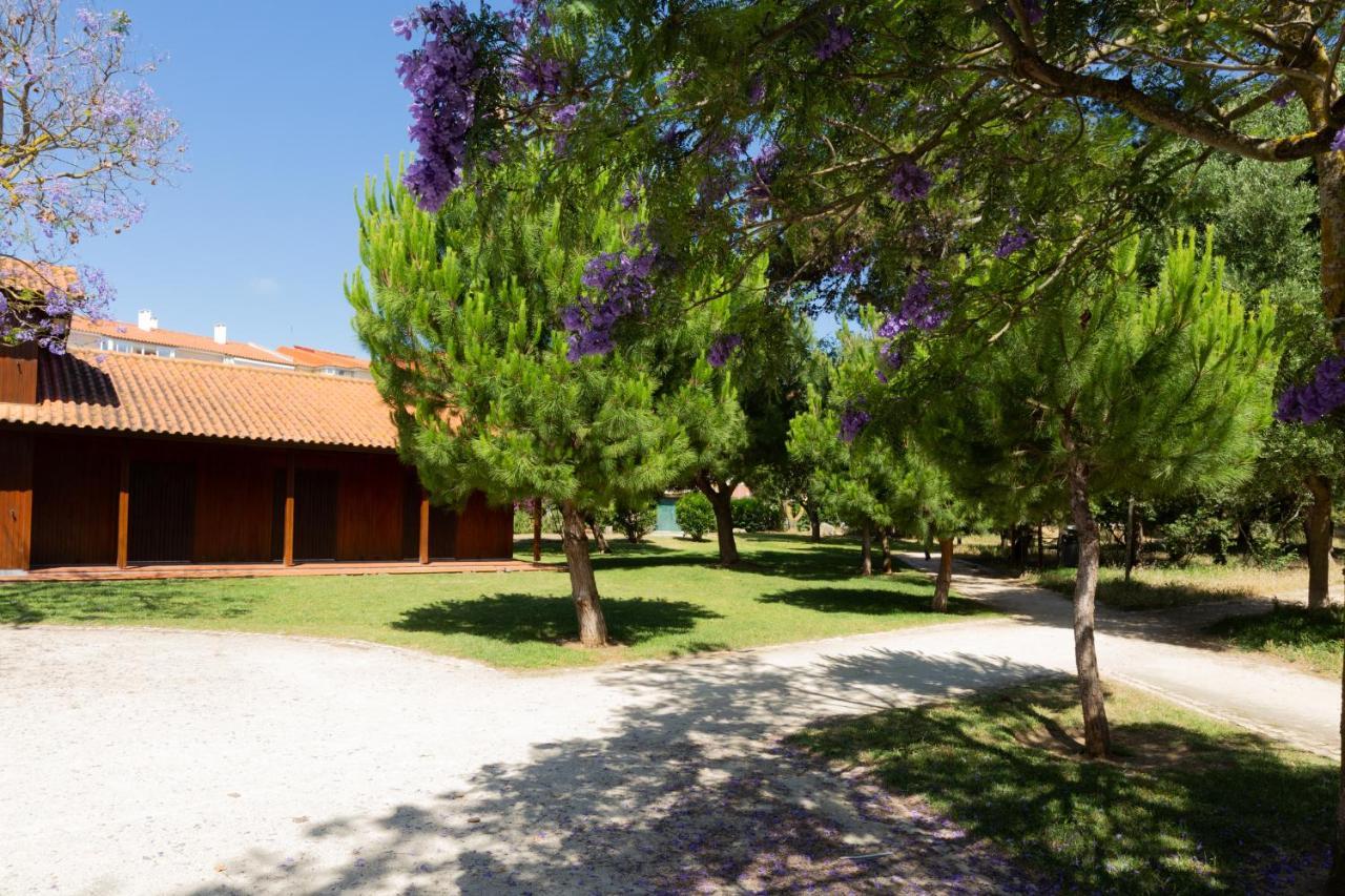 Beachome4U Carcavelos  Zewnętrze zdjęcie